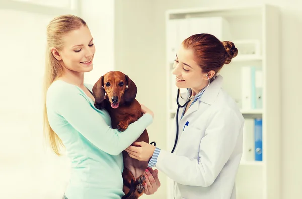 Mulher feliz com cão e médico na clínica veterinária — Fotografia de Stock