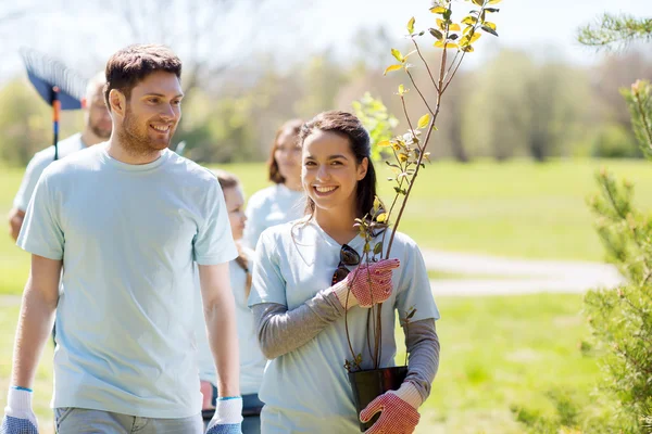 Groep vrijwilligers met bomen en hark in park — Stockfoto