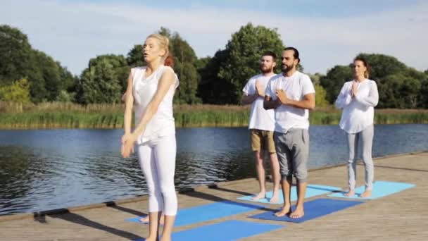 Gruppe von Menschen, die Yoga-Übungen im Freien machen — Stockvideo