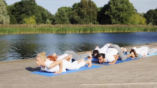 Gruppe von Menschen, die Yoga-Übungen im Freien machen — Stockvideo