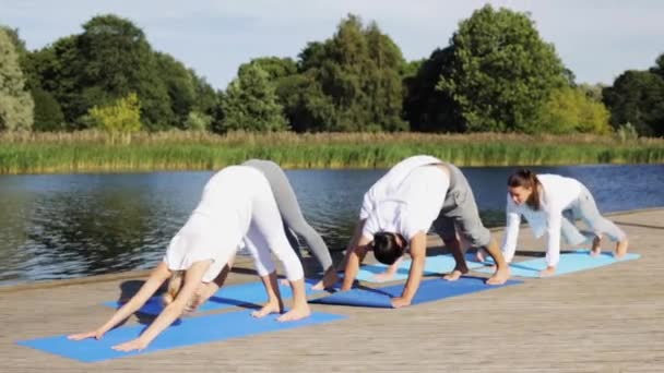 Yoga egzersizleri yapan bir grup insan. — Stok video