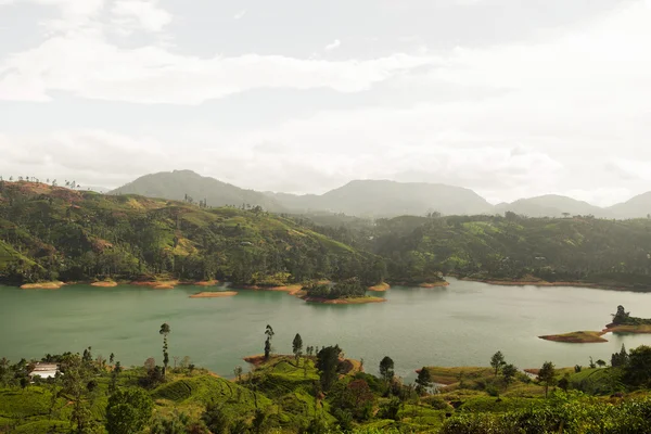 Вид на озеро или реку с суши на Шри-Ланке — стоковое фото