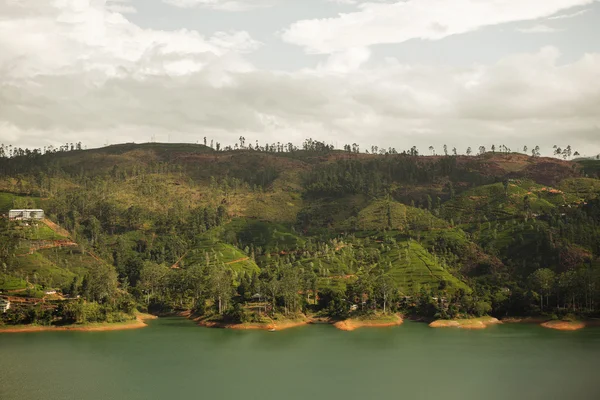 Вид на озеро или реку с суши на Шри-Ланке — стоковое фото