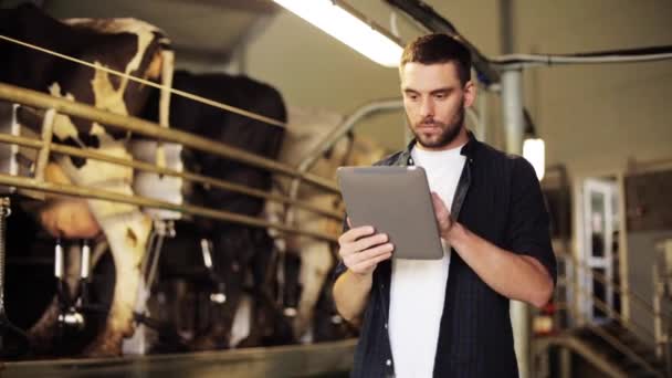 Hombre joven con la tableta PC y vacas en la granja lechera — Vídeos de Stock