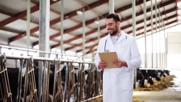 Veterinario con vacas en establo en granja lechera — Vídeos de Stock