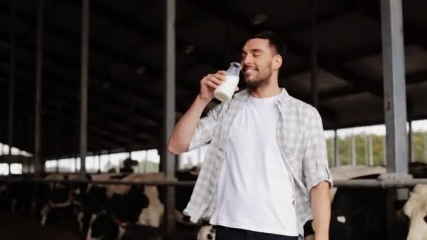 Hombre o agricultor que bebe leche de vaca en una granja lechera — Vídeo de stock