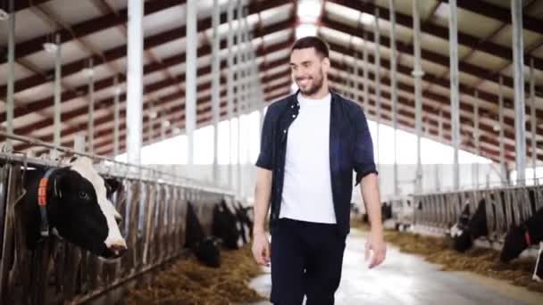 Hombre o agricultor con vacas en establo en granja lechera — Vídeo de stock