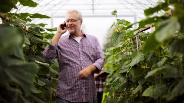 Старий дзвонить на смартфон у фермерській теплиці — стокове відео