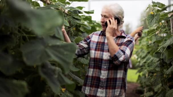 Old woman calling on smartphone in farm greenhouse — Stock Video