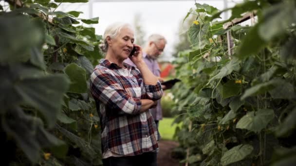 Old woman calling on smartphone in farm greenhouse — Stock Video