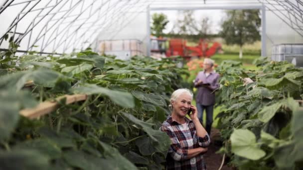 Oude vrouw belt op smartphone in boerderij kas — Stockvideo