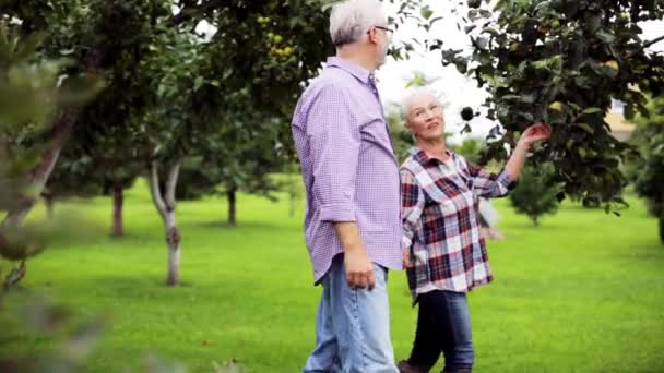 Пожилая пара прогуливаясь по летнему саду — стоковое видео
