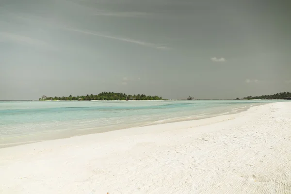 Maldives island beach with palm tree and villa — стоковое фото