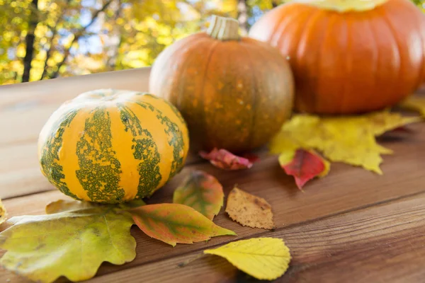 Close up van pompoenen op houten tafel buiten — Stockfoto