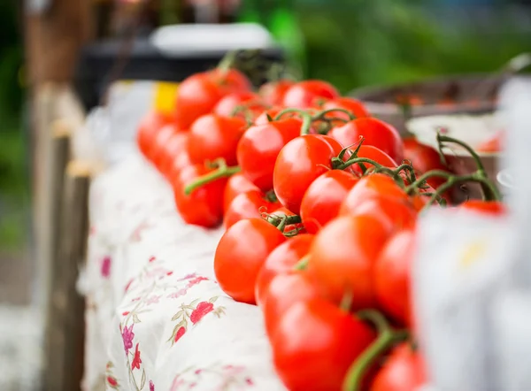 Крупный план спелых красных помидоров на уличном рынке — стоковое фото