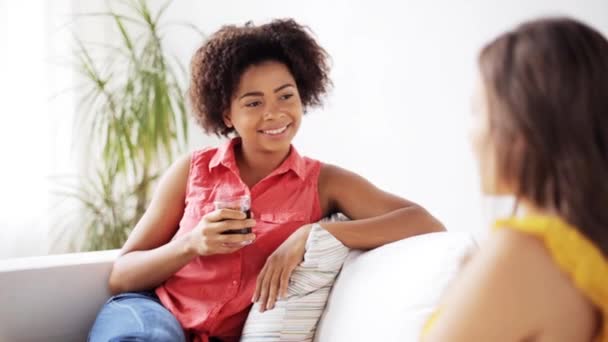 Mujeres felices con bebida hablando gat casa — Vídeos de Stock