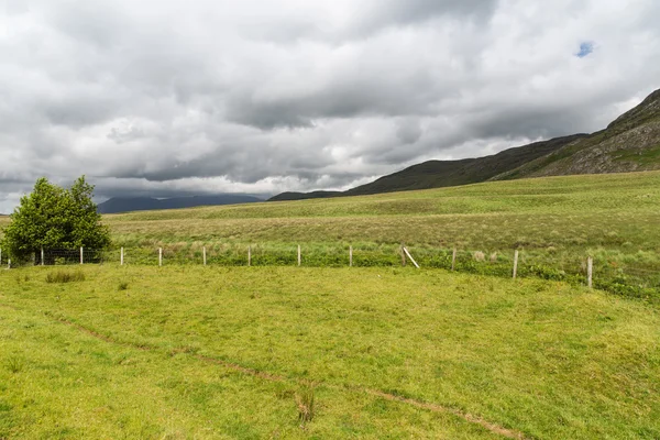 Tepeler ve İrlanda connemara ovalarında — Stok fotoğraf