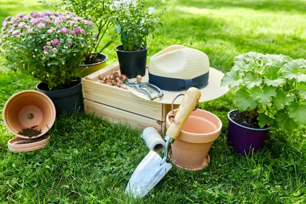 Garden tools, wooden box and flowers at summer — Stock Photo, Image