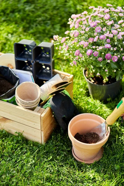 Tuingereedschap in houten kist in de zomer — Stockfoto