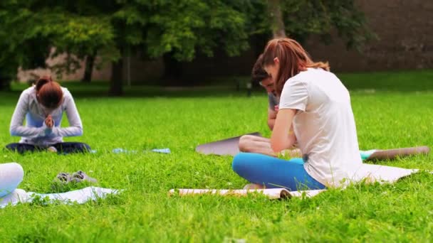 Gruppe trifft sich zum Yoga-Kurs im Park — Stockvideo