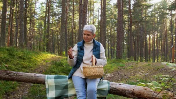 Mujer mayor recogiendo setas en el bosque de otoño — Vídeos de Stock