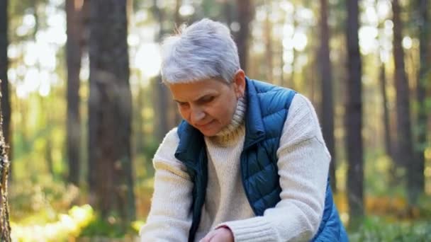 Пожилая женщина собирает грибы в осеннем лесу — стоковое видео