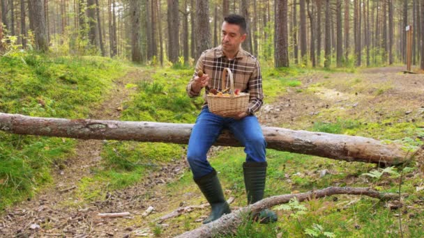 Férfi kosár szedés gomba az erdőben — Stock videók