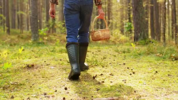 Человек с корзиной грибов в лесу — стоковое видео