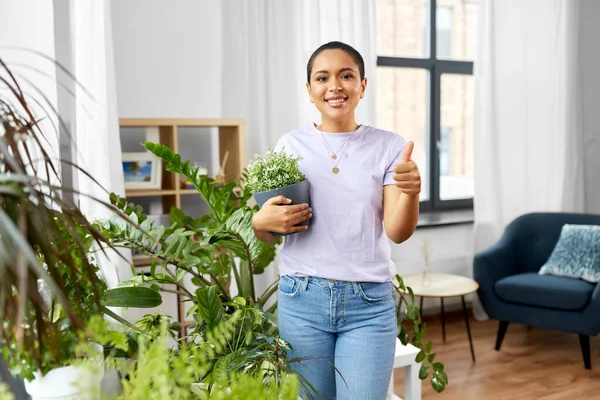 Mujer afroamericana con plantas en casa —  Fotos de Stock