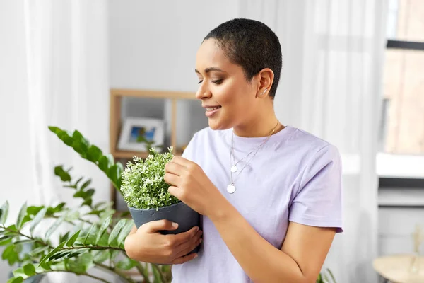 Mujer afroamericana con plantas en casa —  Fotos de Stock