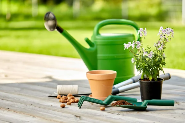 Εργαλεία κήπου και λουλούδια σε ξύλινη βεράντα — Φωτογραφία Αρχείου