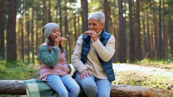 Бабуся з онукою має пікнік у лісі — стокове відео