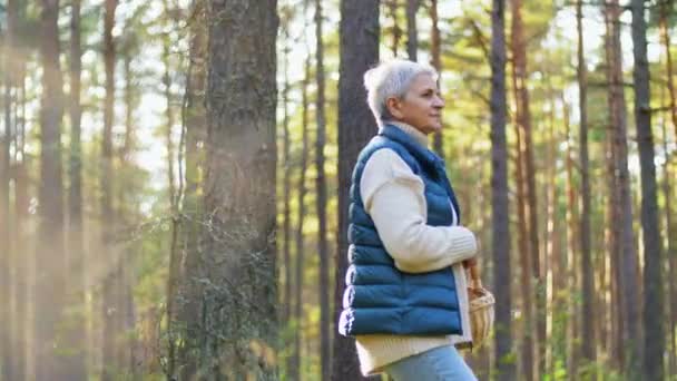 Mujer mayor recogiendo setas en el bosque de otoño — Vídeos de Stock