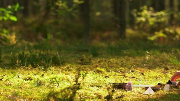 Frau oder Hexe führt magisches Ritual im Wald durch — Stockvideo