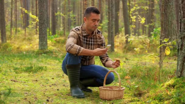 Hombre usando el teléfono inteligente para identificar hongos — Vídeos de Stock