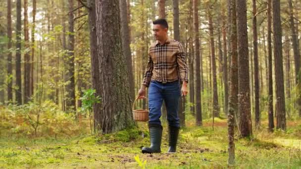 Boldog ember kosár szedés gomba az erdőben — Stock videók