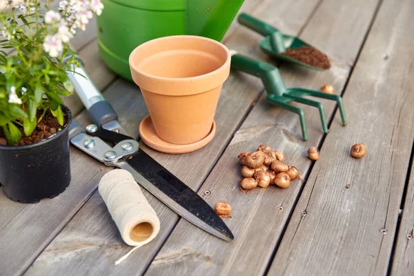 Garden tools and flowers on wooden terrace — Stock Photo, Image