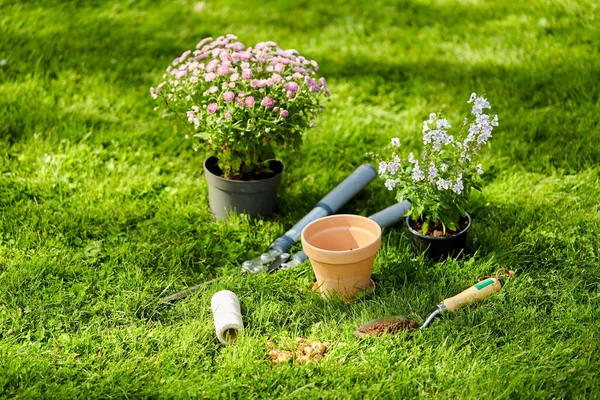 Tuingereedschap en bloemen op gras in de zomer — Stockfoto