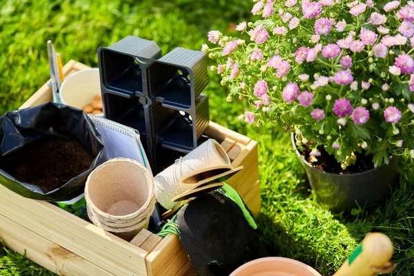 Ferramentas de jardim em caixa de madeira no verão — Fotografia de Stock