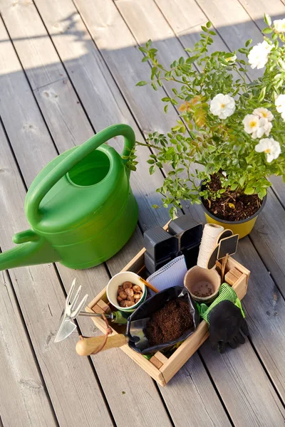 Caixa com ferramentas de jardim e regador no verão — Fotografia de Stock