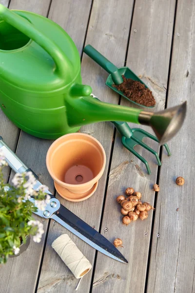 Trädgårdsredskap och blommor på trä terrass — Stockfoto