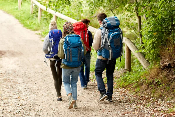 Group of friends with backpacks hiking — Stock Photo, Image