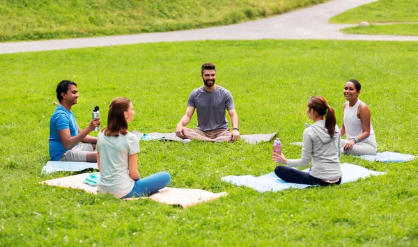 Gruppo di persone sedute su tappetini da yoga al parco — Foto Stock