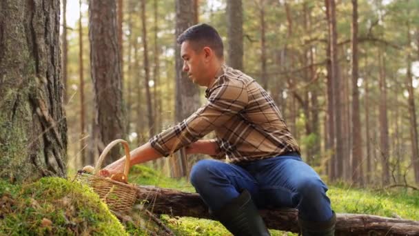 사람은 버섯 바구니를 들고 숲 속에서 차를 마신다 — 비디오