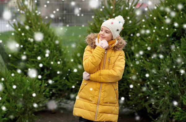 Petite fille choisir arbre de Noël au marché — Photo