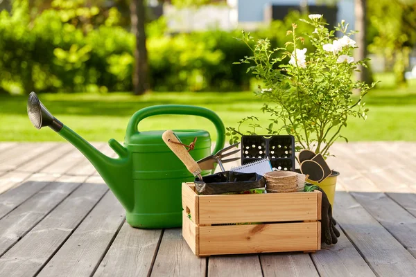 Κουτί με εργαλεία κήπου και ποτιστήρι το καλοκαίρι — Φωτογραφία Αρχείου