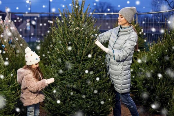 快乐的家庭选择市场上的圣诞树 — 图库照片