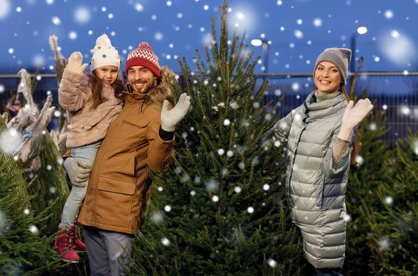 Família feliz escolhendo árvore de Natal no mercado — Fotografia de Stock