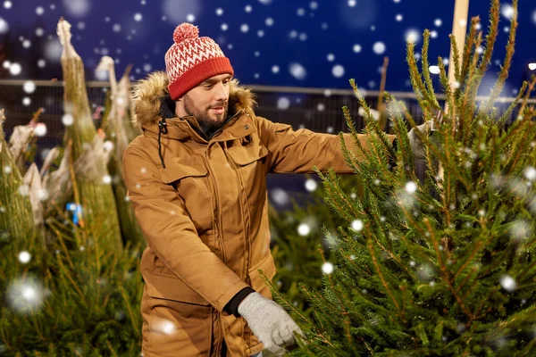 幸せな男はクリスマスツリーを市場で買う — ストック写真