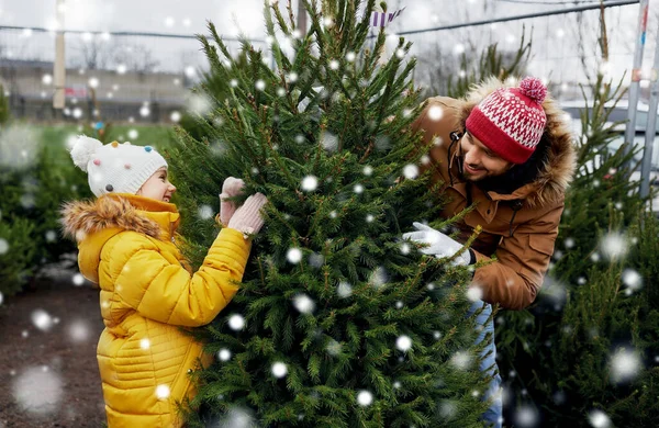 Heureux famille choisir arbre de Noël au marché — Photo